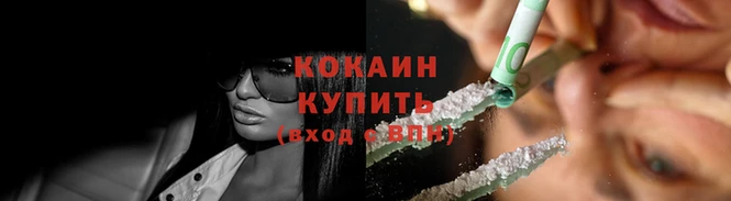 дмт Заводоуковск