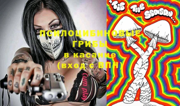 дмт Заводоуковск