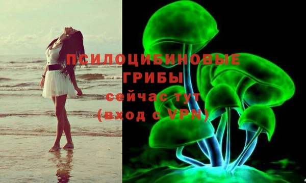 дмт Заводоуковск